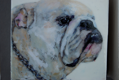 photo of bulldog art print