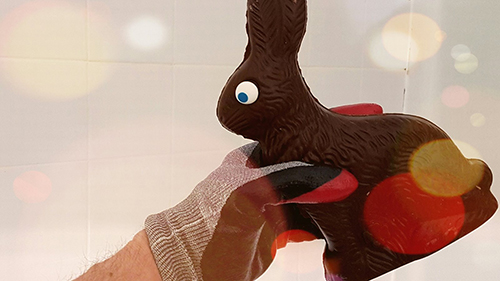 Photo of chocolate Easter Bunny