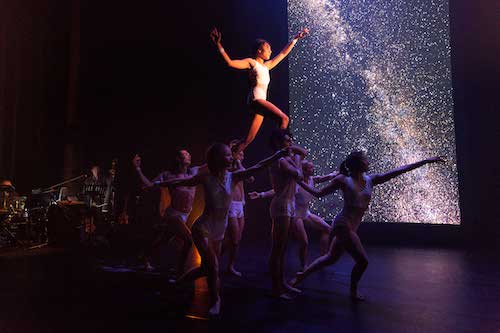 Photo of the company of Red Sky Performance's Trace by David Hou