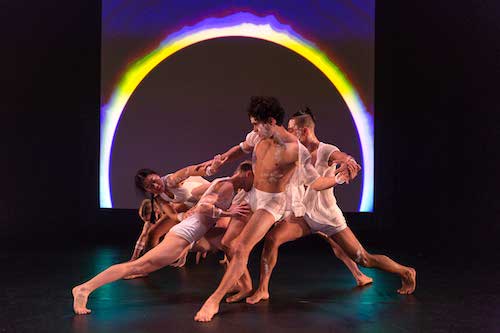 Photo of the company of Red Sky Performance's Trace by David Hou