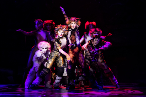 Three performers from CATS