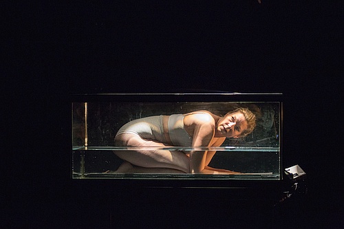 Photo of a Woman Crouched in an Aquarium - Maev Beaty in Secret life of a Mother